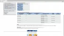 Come si controllano i punti patente