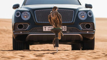 Bentley Bentayga Falconry Mulliner