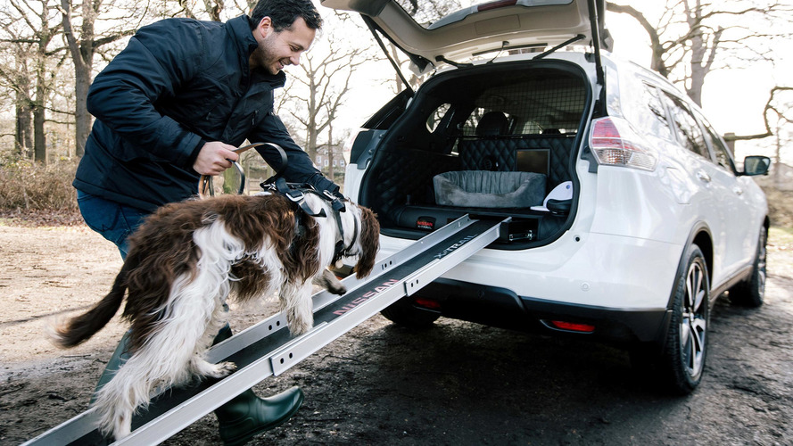 Nissan köpek dostu otomobil geliştirdi