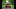Recall: MINI Cooper convoca 97 unidades no Brasil