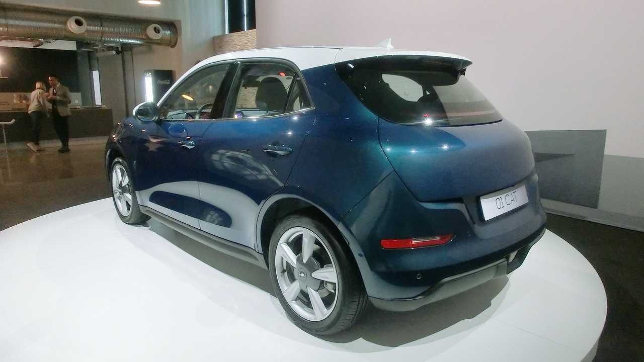 Ora Cat 1 (2022)