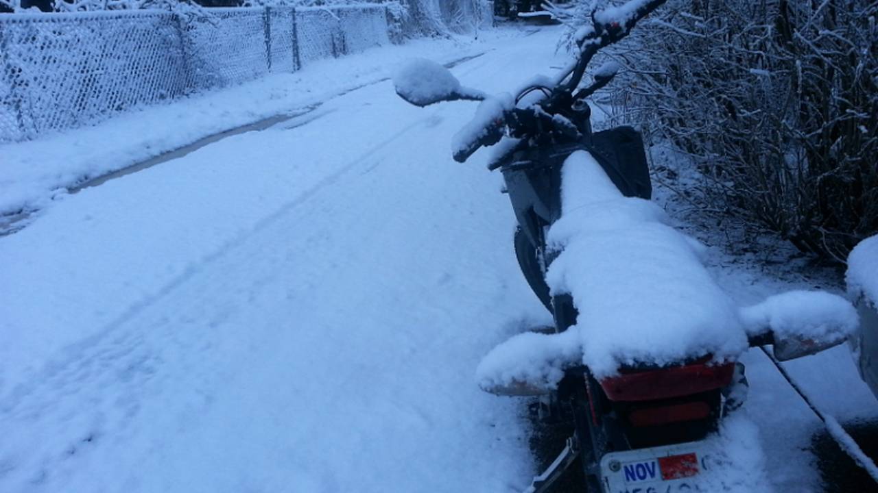 Zero Below Zero — March Lion
