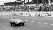 1955 Jaguar D-Type