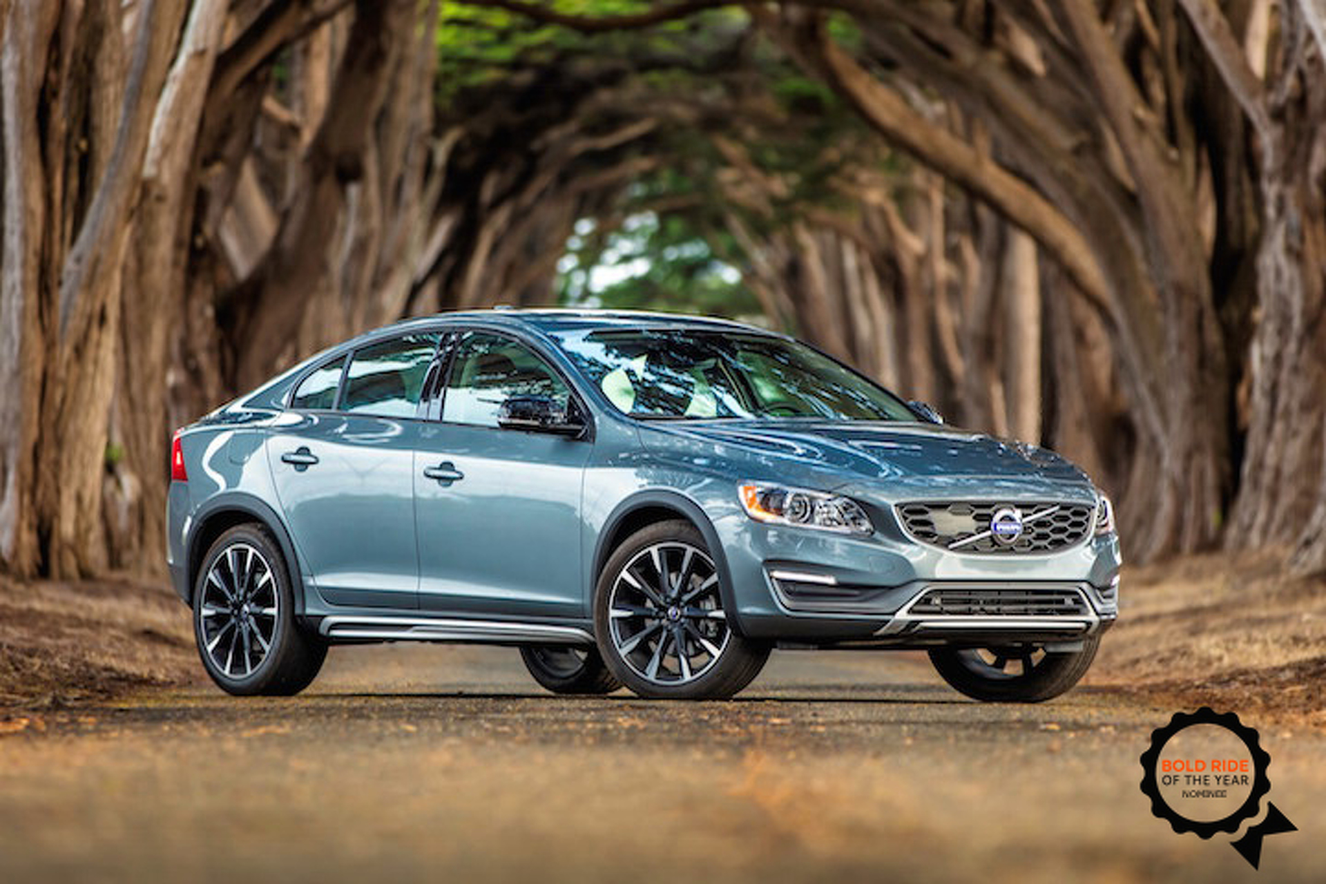 2015 Bold Ride of the Year: The Nominees