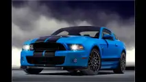 Bissigster Mustang