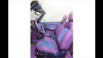 Vilner-Mini ist pure Extravaganz