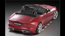 Deutsches Großkatzen-Tuning