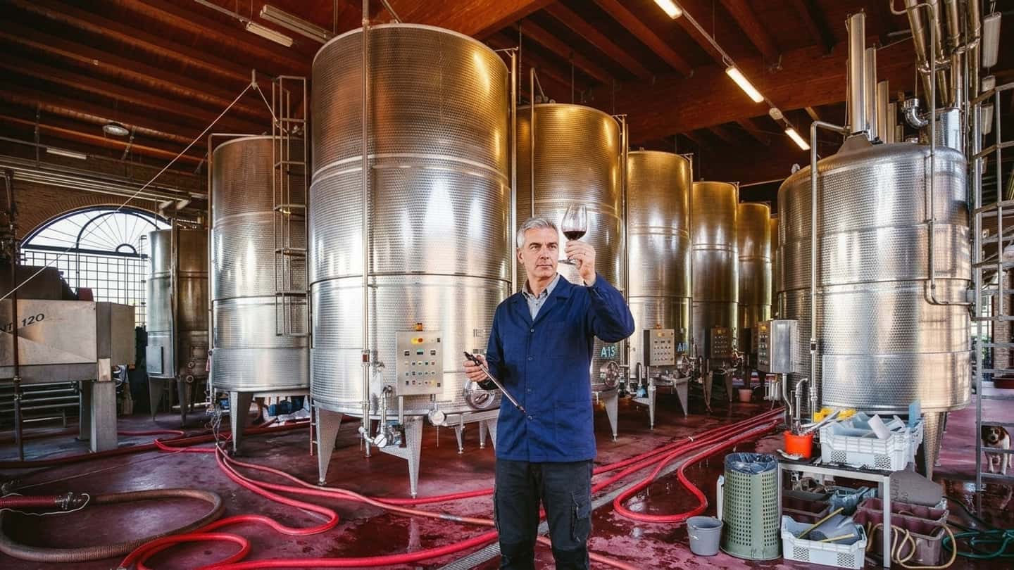 Vendemmia 2026 e giacenze vino, impatti operativi sulle cantine