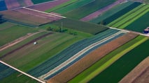 Concordato agricolo: procedura più semplice con il Fisco