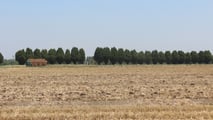 PGRA 2026: come cambia l’assicurazione per le aziende agricole