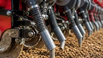 Quali granulari e biocontrolli usare contro gli elateridi nel 2026?