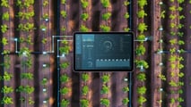 Sensori e AI per programmare i volumi irrigui del pomodoro nel 2026