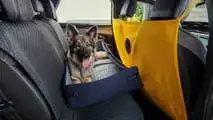 Peugeot E-5008 Dog Edition (2026)