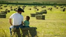 Quando un'azienda agricola passa agli eredi, l'esonero dall'imposta di successione spetta a chi prosegue l'attività: ecco come funziona e i casi dubbi.