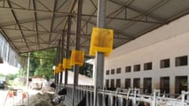 Piano integrato contro mosche e Stomoxys negli allevamenti bovini