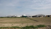 Digestato, organici e precision farming: le vere alternative all’urea in risicoltura