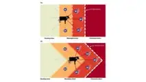 Il virtual fencing rivoluziona la gestione del pascolo: meno manodopera, più controllo, benessere animale migliorato e sostenibilità reale