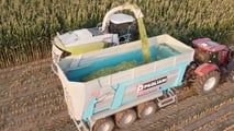 Lunghezza di trinciatura insilati: come tararla sul benessere delle bovine