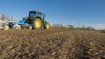 Frumento ibrido in minima o sodo: quando conviene cambiare?