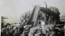 Gli albori della trebbiatura meccanica
