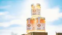 Bentley Honey Harvest