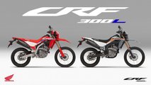 2023 Honda CRF300L - Poster 4