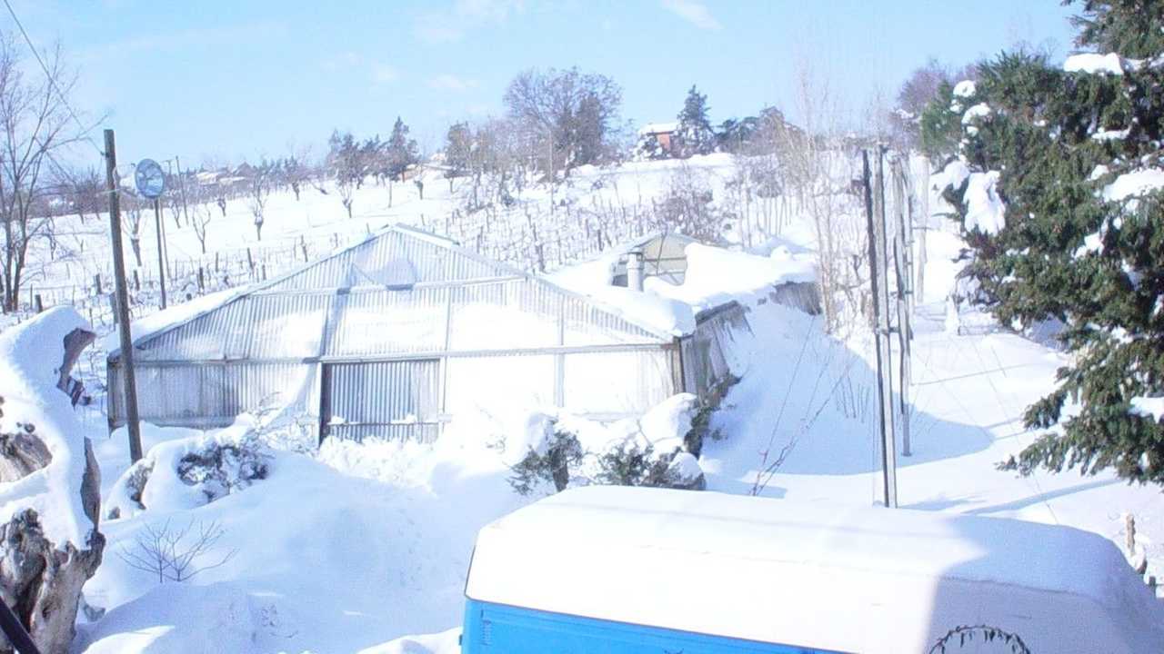 Arriva la neve nei campi? Ma magari...