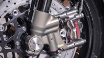 Black Swan: 2014 Avinton - Caliper