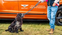 Bentley At Goodwoof Festival