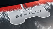 Bentley at Goodwoof