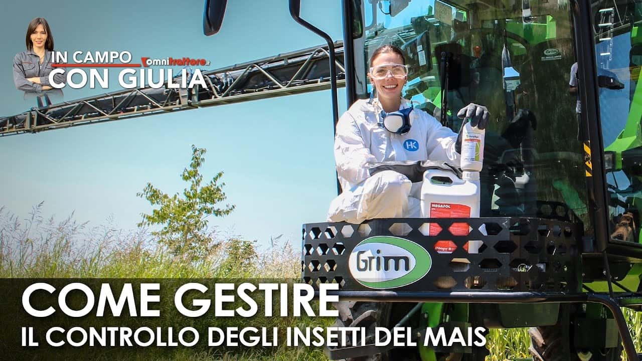 Ampligo Syngenta in Campo con Giulia