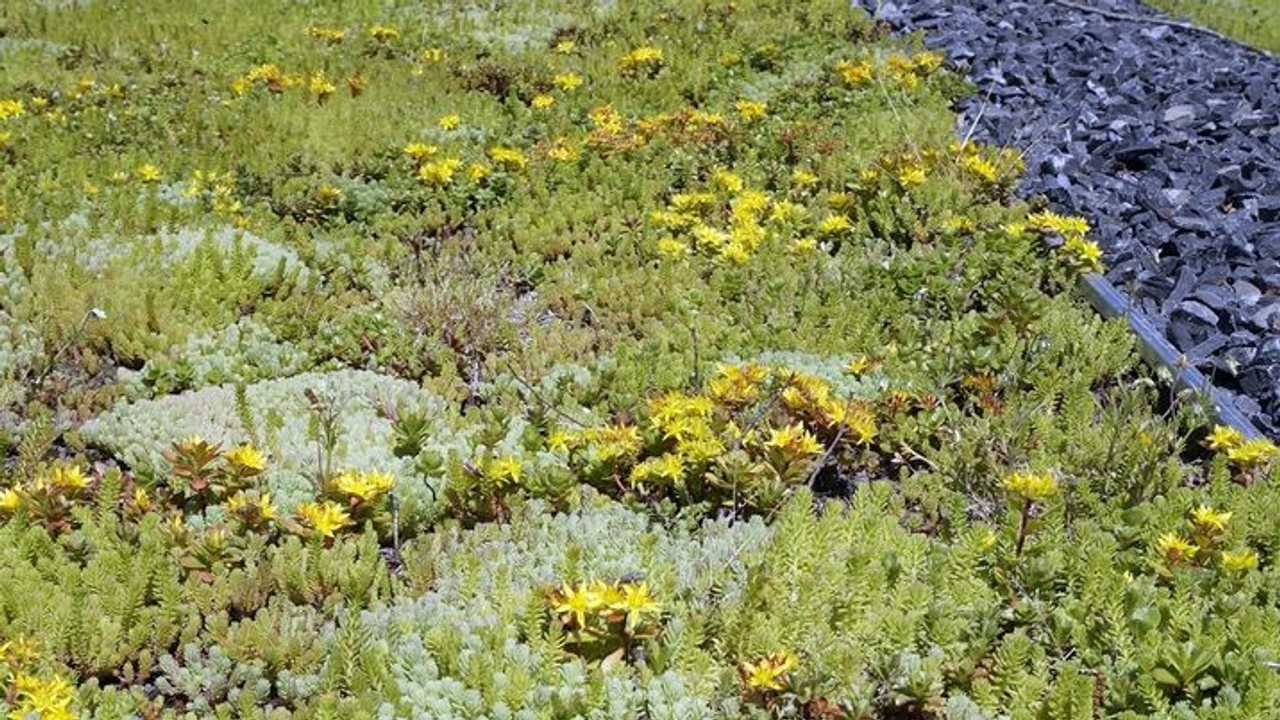 Il verde Leca Monte Croce