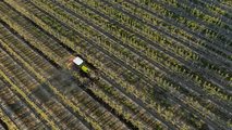 CLAAS Nexos Stage V