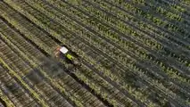 CLAAS Nexos Stage V