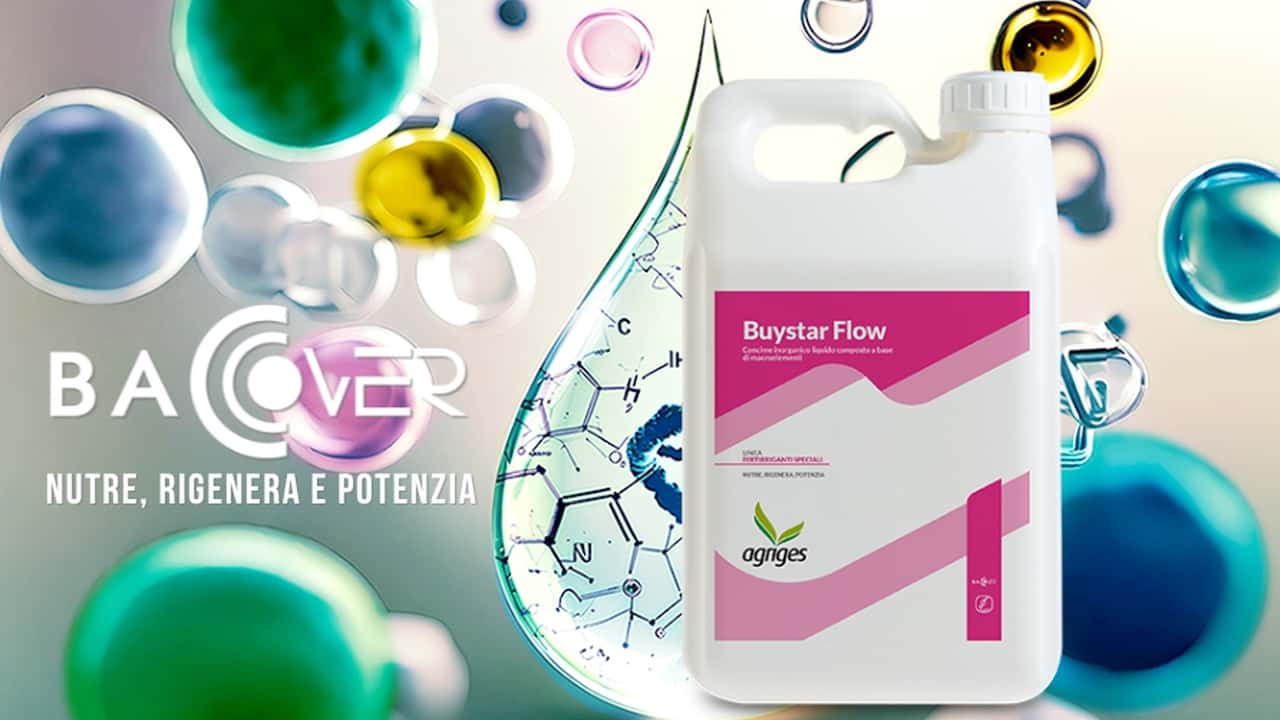 Agriges Buystar Flow: fertilizzante intelligente che potenzia le radici e migliora la resa