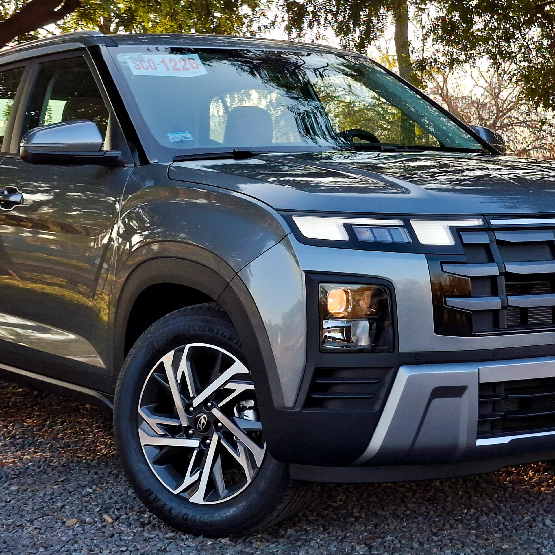 Cocadamalagueta bianca