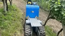 Enovitis Extrême 2025: innovazione eroica tra i vigneti terrazzati del Trentino