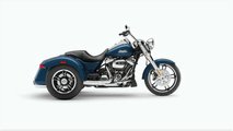 2022 Harley-Davidson Freewheeler
