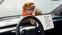Tesla Model 3 Standard 2026