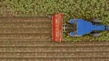Kuhn: nuova trinciatrice BFP 320 per patate