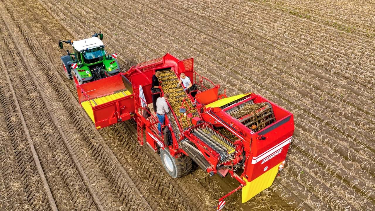 Grimme; nuovo scavapatate trainato EVO 260