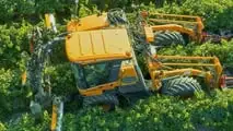 Attrezzature da vigneto e frutteto TOP per il 2024