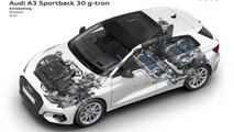 2020 Audi A3 Sportback 30 G-Tron Diagramm