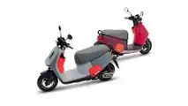 Gogoro Viva Mix Belt - Red and Purple