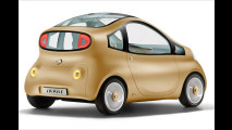 Elektrostudie von Nissan