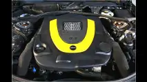 Performance-CL