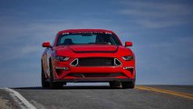 Ford Mustang RTR