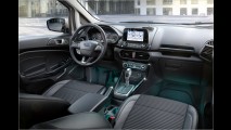 Kuga im Kleinformat
