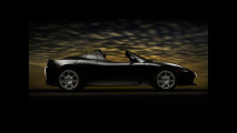 Tesla Roadster	  