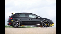 JE Design Seat Leon Cupra 300